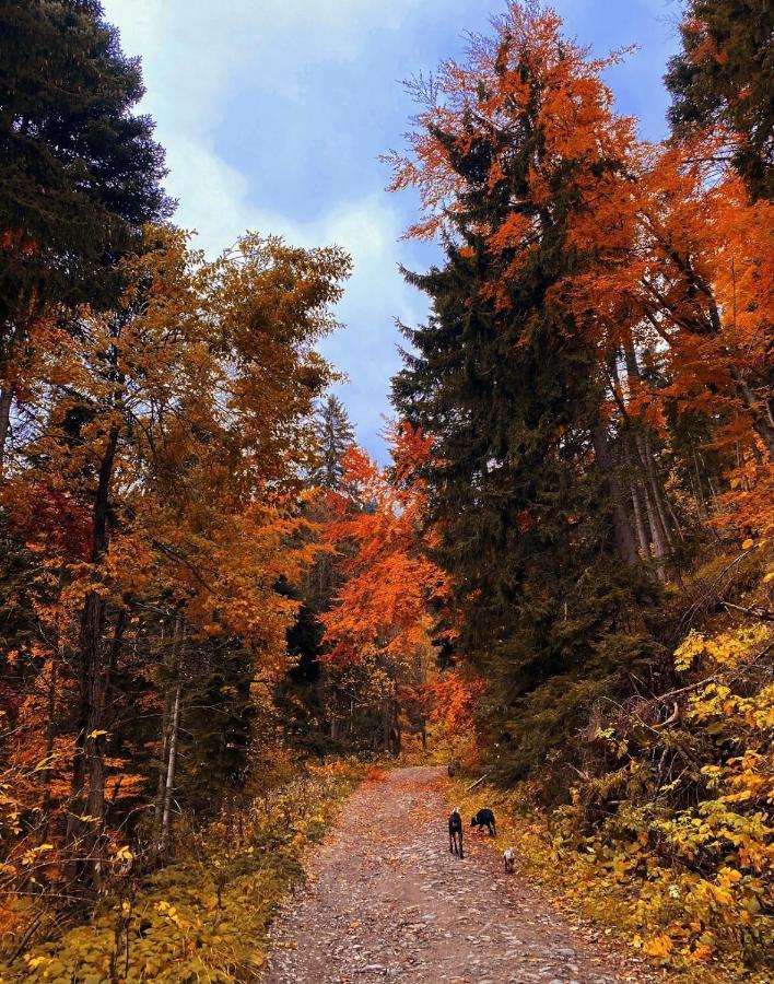 Borovets Sequoia2 Luxury Apartment エクステリア 写真